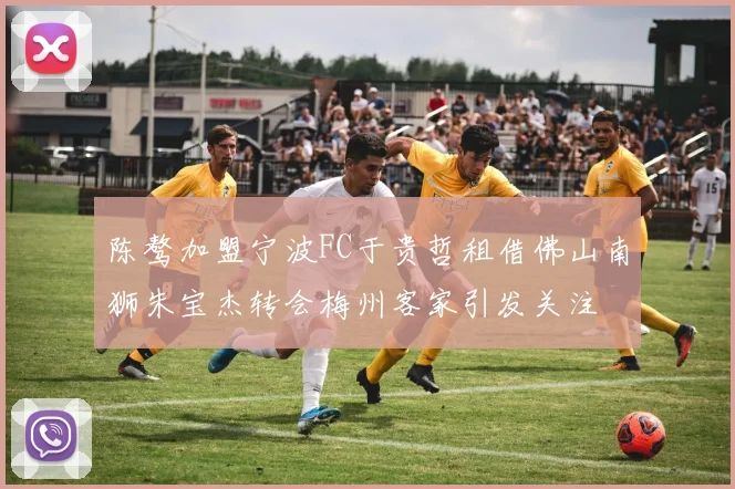 陈骜加盟宁波FC于贵哲租借佛山南狮朱宝杰转会梅州客家引发关注